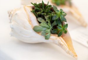 BOHLERT MASSEY INTERIORS